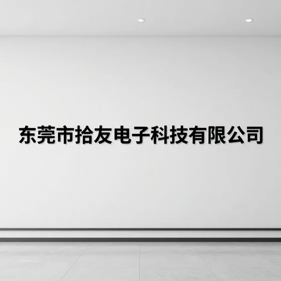 东莞市拾友电子科技有限公司